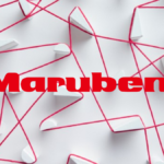 The bold red Marubeni logo positioned over a complex network of red strings connecting white geometric blocks, symbolizing the interconnected investment strategy of the new Marubeni Consumer Platform India (MCPI).