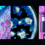 A composite image showing a microscopic cross-section of skin tissue, microbial cultures in a petri dish, and a scientist in a lab representing the L’Oréal and Institut Pasteur partnership.