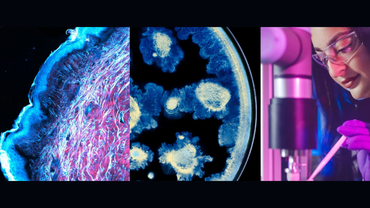 L’Oréal x Institut Pasteur: The 2026 Science Alliance Set to Revolutionize Your Skin’s Future 1 A composite image showing a microscopic cross-section of skin tissue, microbial cultures in a petri dish, and a scientist in a lab representing the L’Oréal and Institut Pasteur partnership.