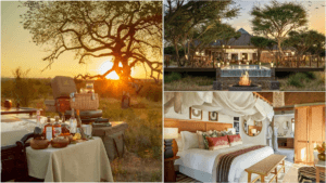 Safari sunset picnic on a jeep, illuminated lodge deck with a pool and fire pit, and a luxury canopy bedroom at Taj Kruger.