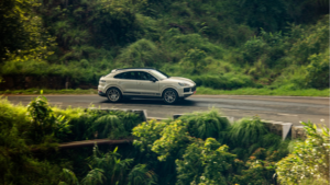 Green foliage in foreground, a cream Porsche Cayenne driving on an asphalt road with dense green trees in background.