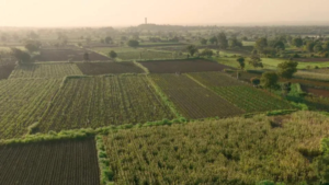 Farm diagnostic AI tools arrive globally in Google Earth