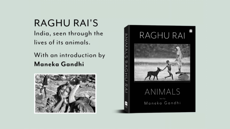 Raghu Rai’s Animals Opens Pre-Orders Ahead of October Release Raghu Rai’s Animals Opens Pre-Orders Ahead of October Release